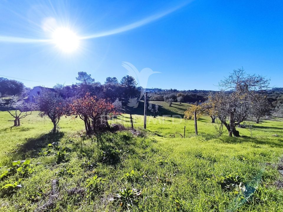 Helårsgrund i Ourem, Santarem - foto 4