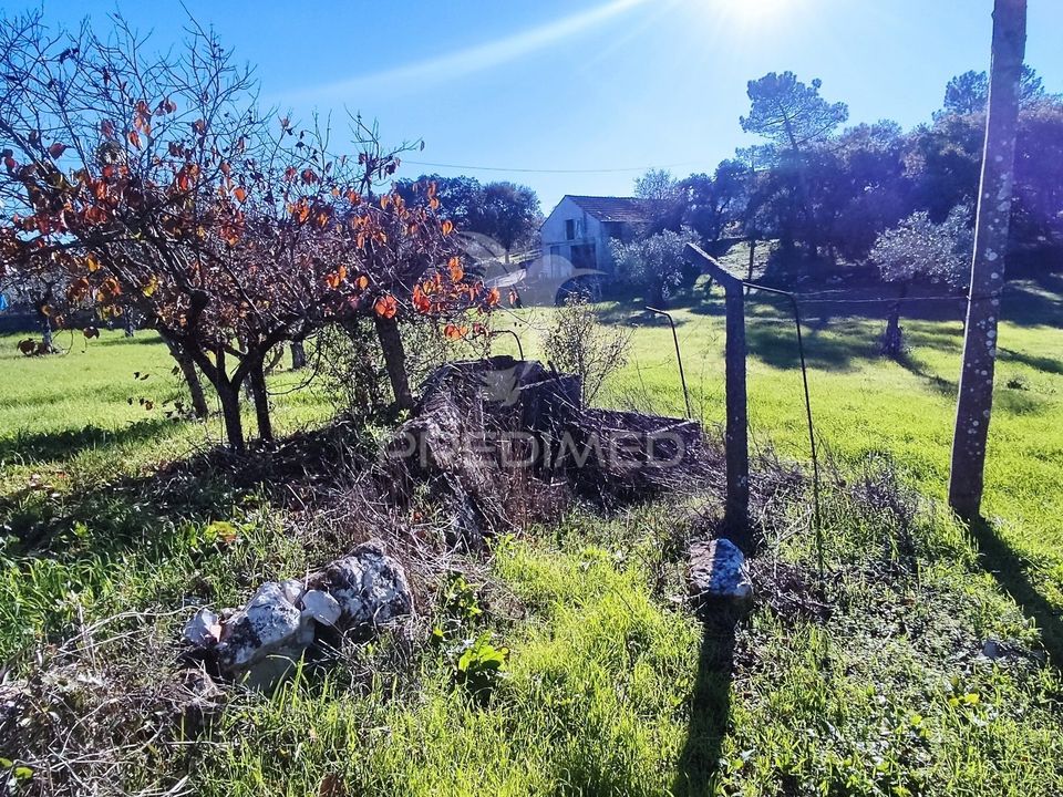 Helårsgrund i Ourem, Santarem - foto 5