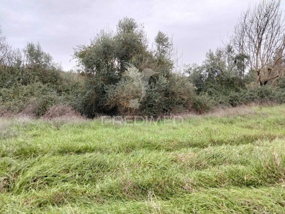 Helårsgrund i Alandroal, Evora - foto 1