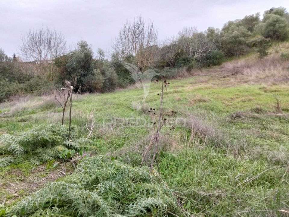 Helårsgrund i Alandroal, Evora - foto 5