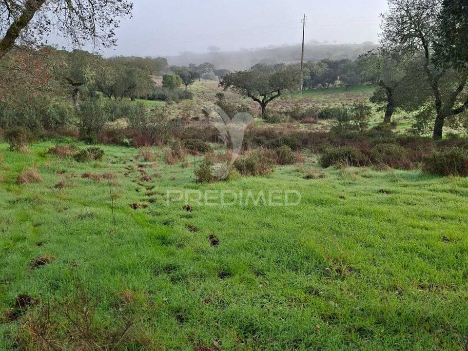Helårsgrund i Alandroal, Evora - foto 1