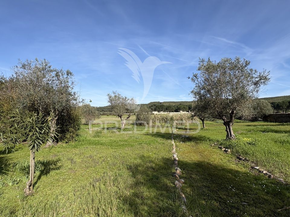Casa de campo en Constancia, Santarem - foto 5