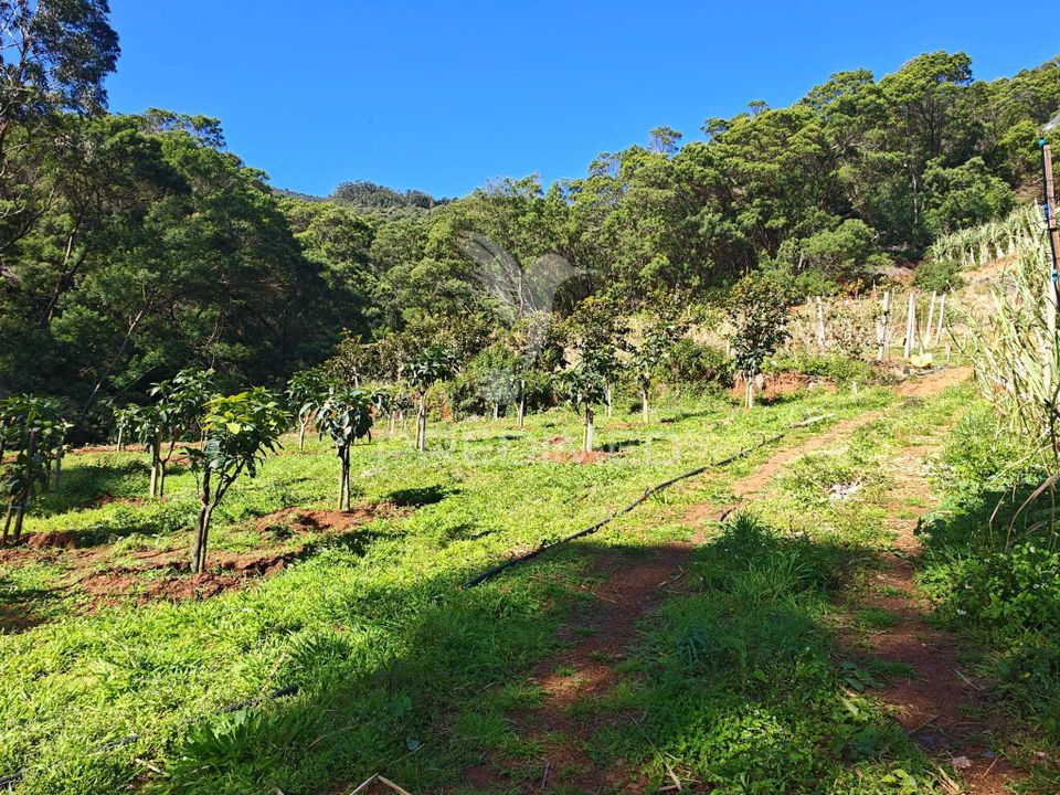 Helårsgrund i Machico, Madeira - foto 1