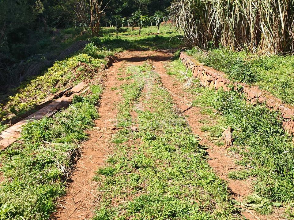 Helårsgrund i Machico, Madeira - foto 3