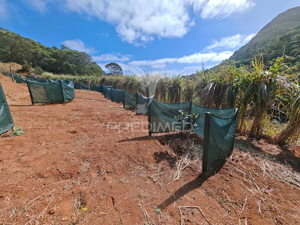 Helårsgrund i Machico, Madeira - foto 4