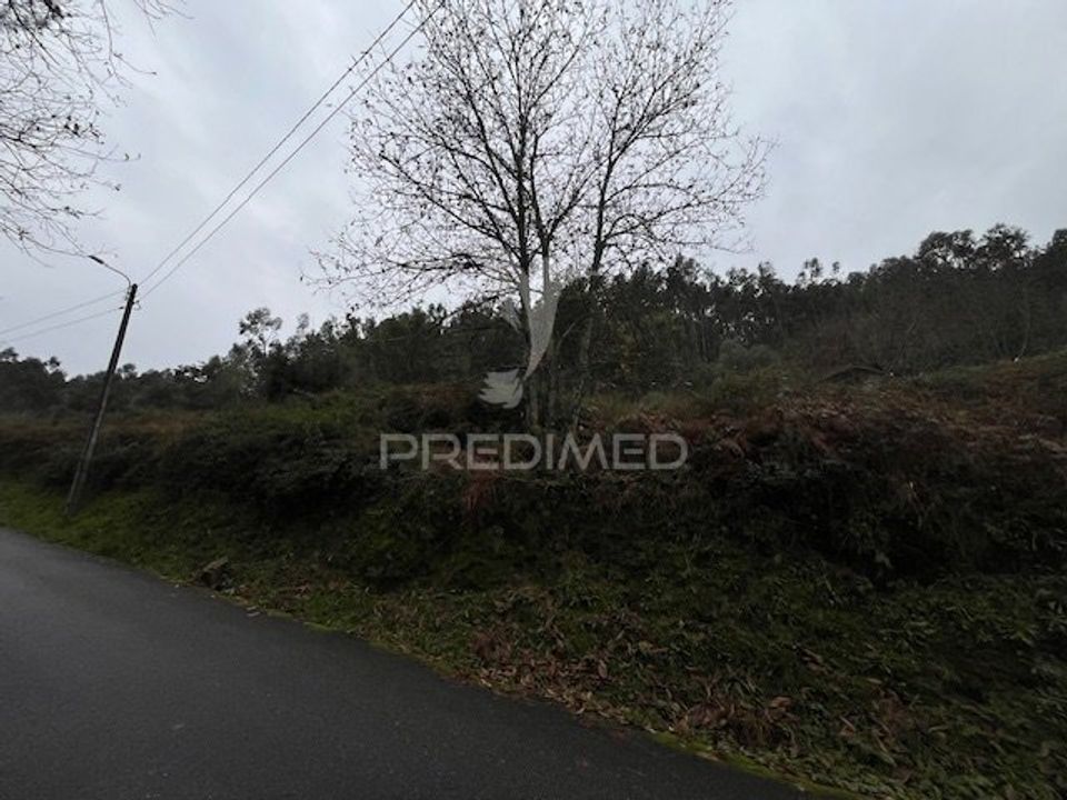 Helårsgrund i Vila Verde, Braga - foto 2