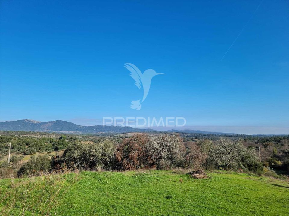 Helårsgrund i Idanha-a-Nova, Castelo Branco - foto 1