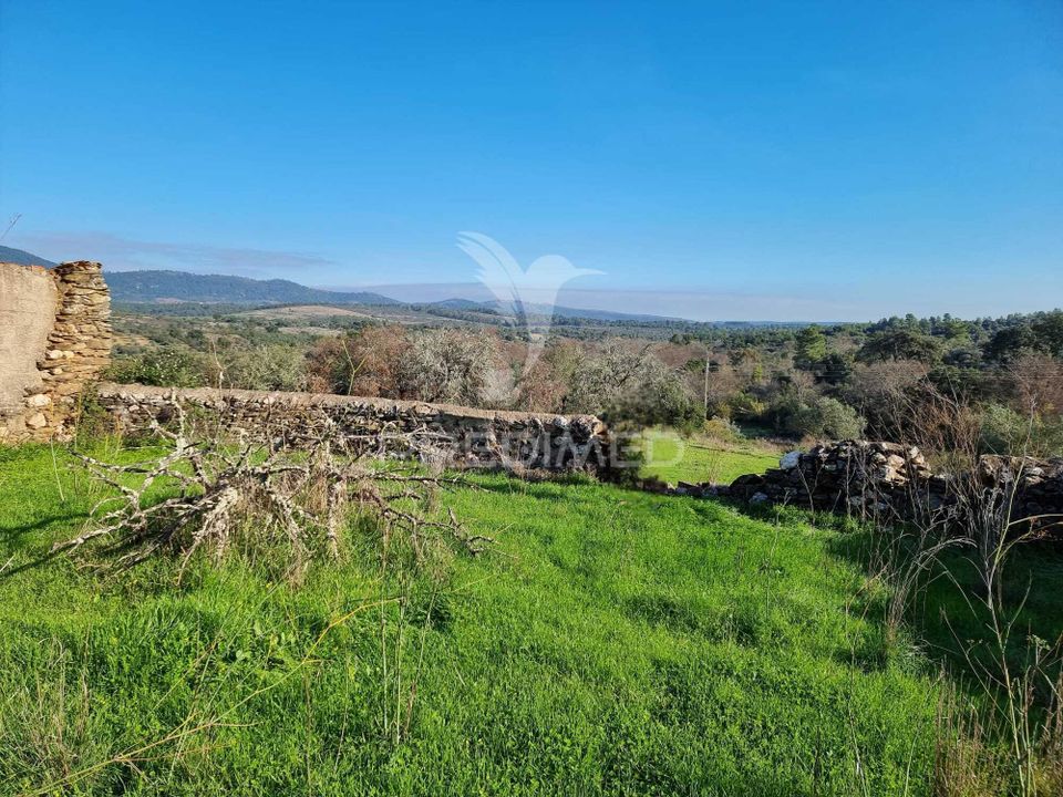 Helårsgrund i Idanha-a-Nova, Castelo Branco - foto 2