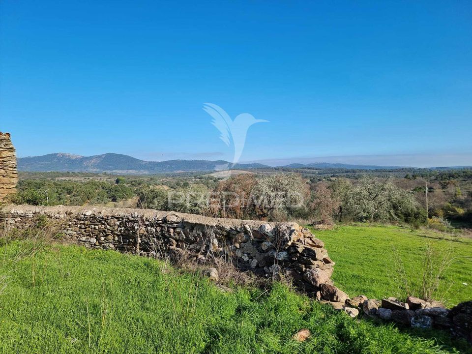 Helårsgrund i Idanha-a-Nova, Castelo Branco - foto 4