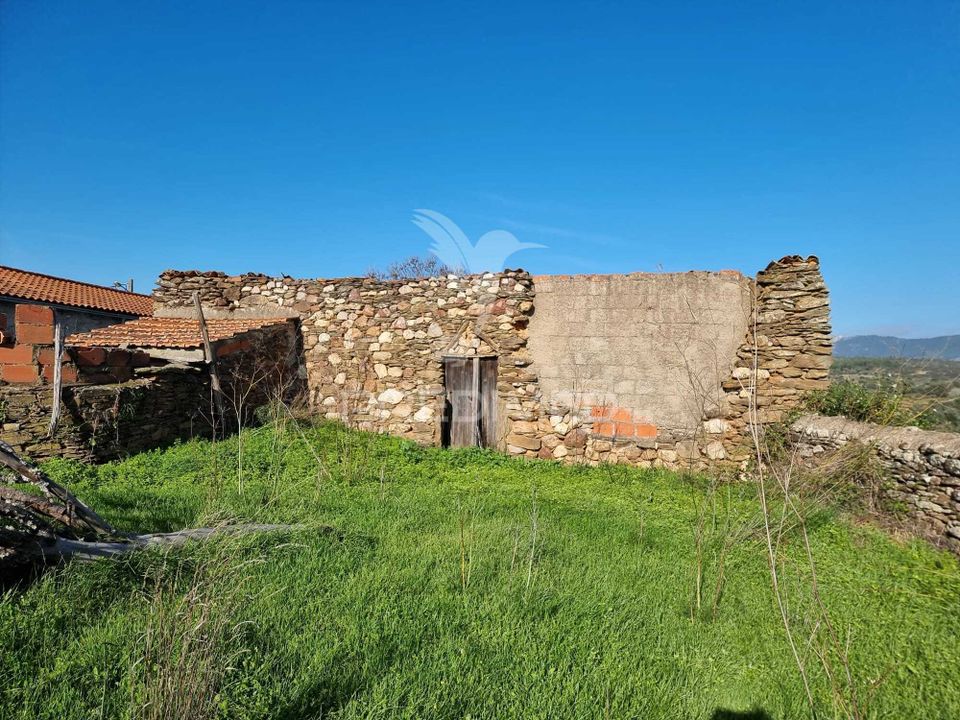 Helårsgrund i Idanha-a-Nova, Castelo Branco - foto 5