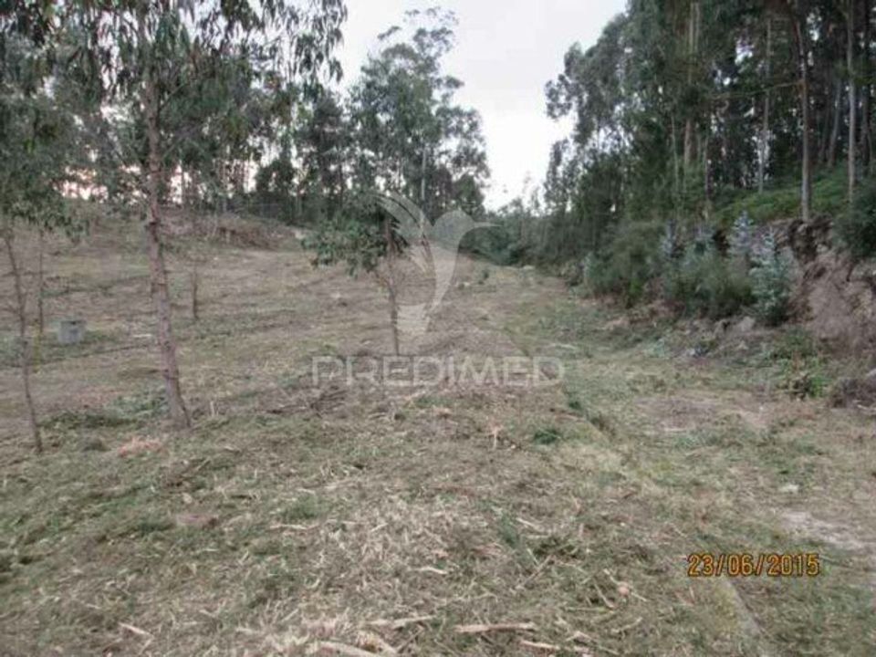 Helårsgrund i Oliveira de Azemeis, Aveiro - foto 2