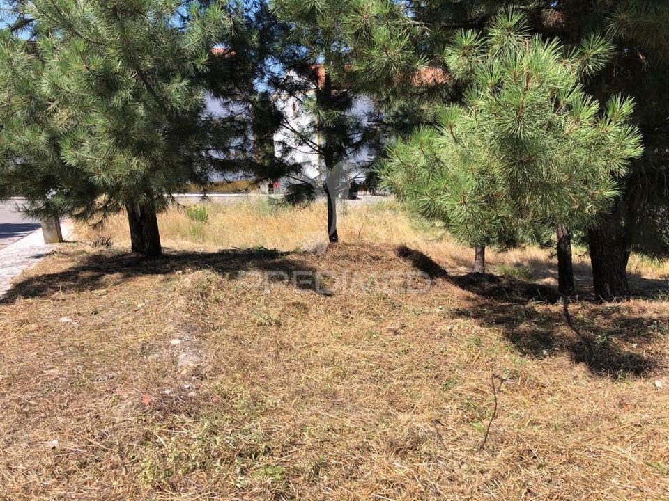 Helårsgrund i Abrantes, Santarem - foto 2