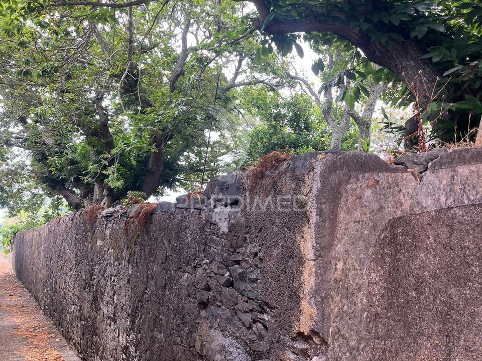 Masia a Calheta, Madeira - foto 4