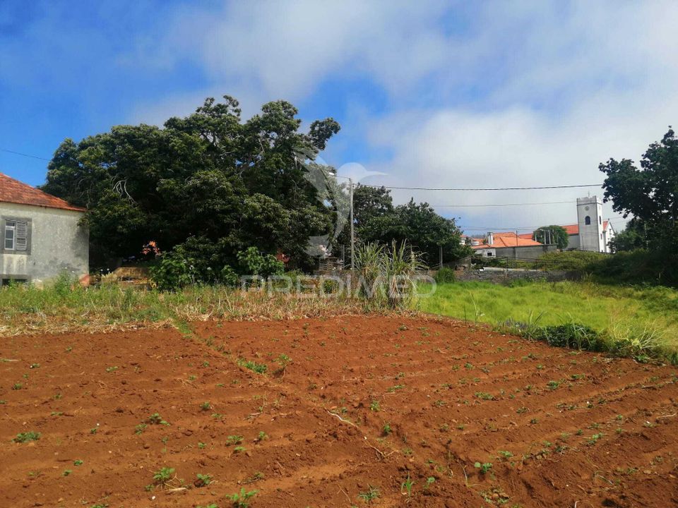 Masia a Calheta, Madeira - foto 5