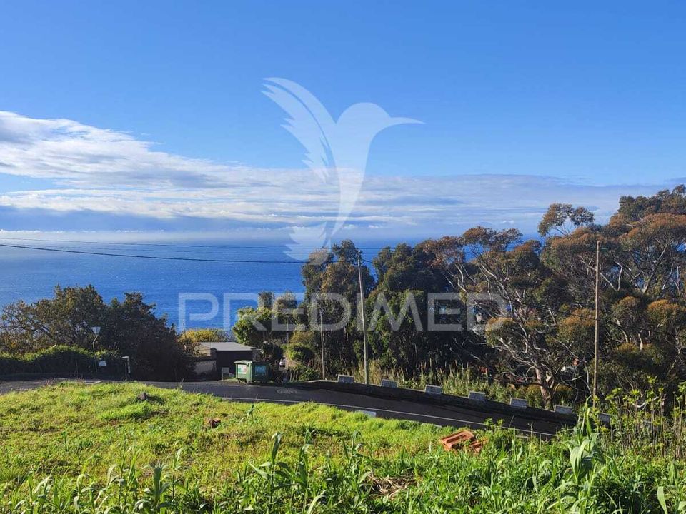 Helårsgrund i Santa Cruz, Madeira - foto 4