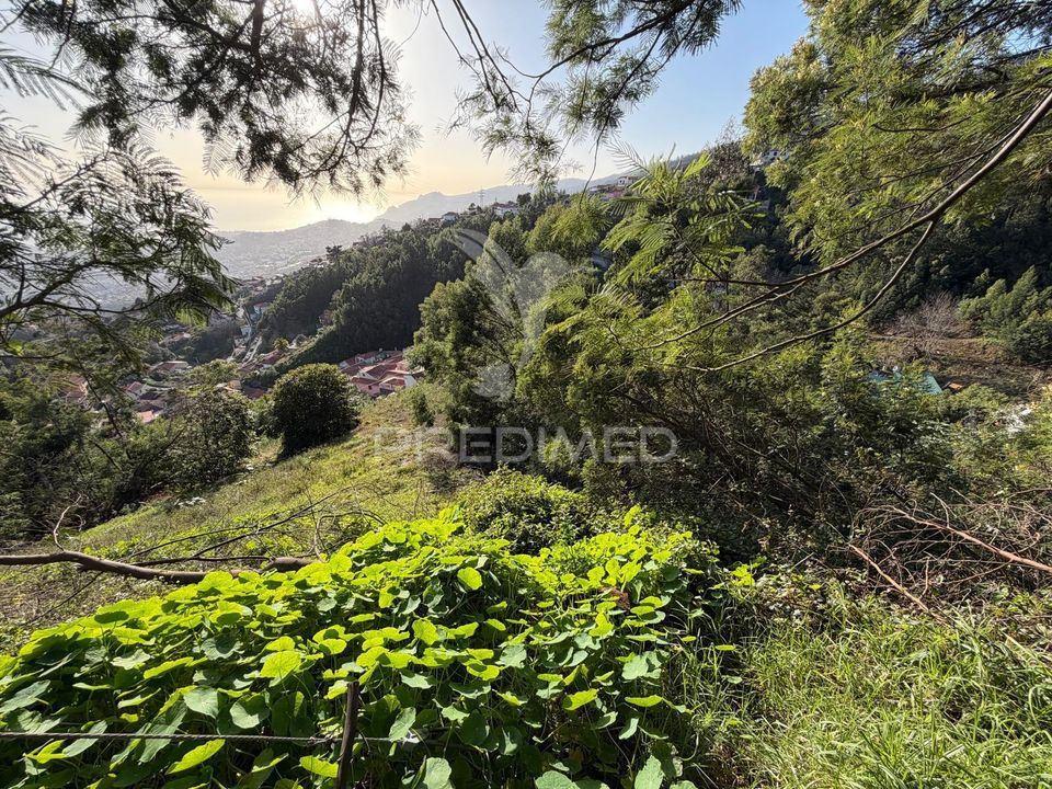 Helårsgrund i Funchal, Madeira - foto 3