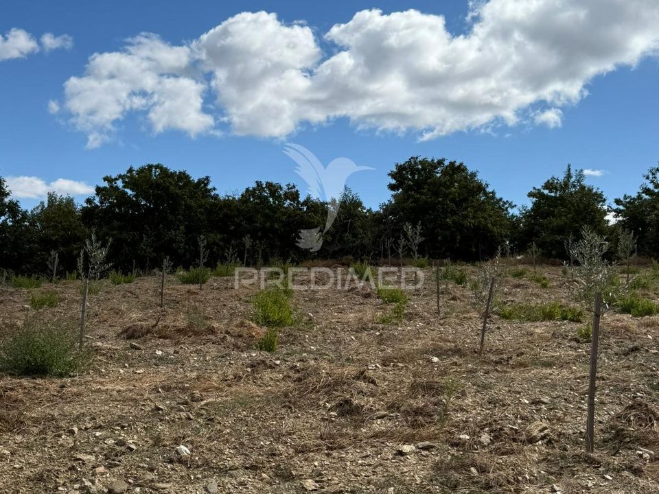 Helårsgrund i Penedono, Viseu - foto 1