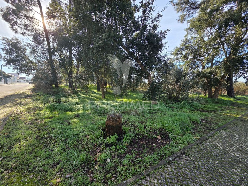 Helårsgrund i Vila Nova da Barquinha, Santarem - foto 3