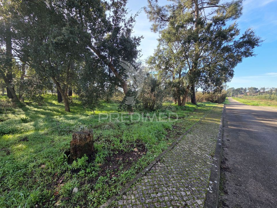 Helårsgrund i Vila Nova da Barquinha, Santarem - foto 4