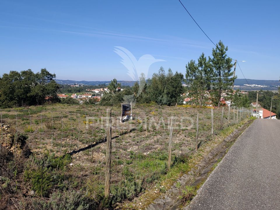 Tomt i Constancia, Santarem - bilde 2