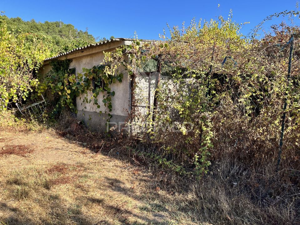 Helårsgrund i Chaves, Vila Real - foto 4