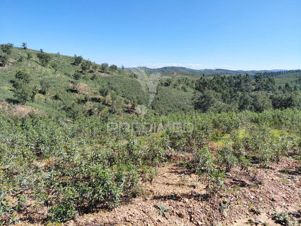 Farm hus i Odemira, Beja - foto 4