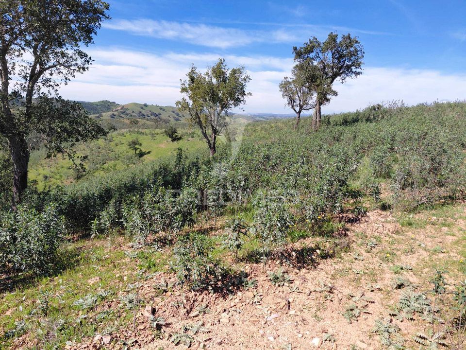 Farm hus i Odemira, Beja - foto 3
