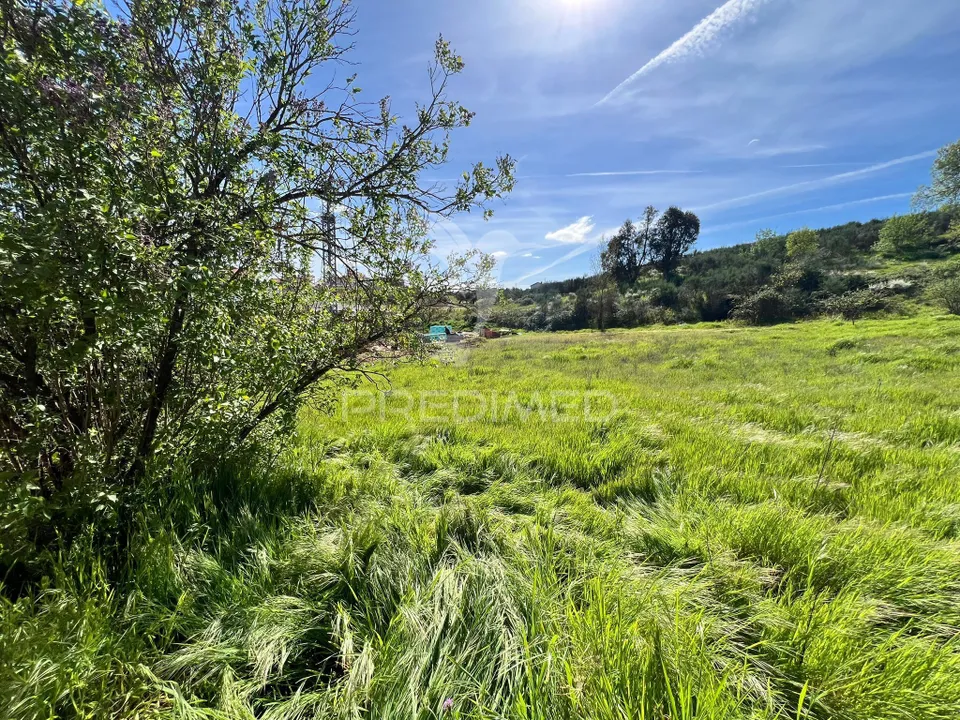 Helårsgrund i Mirandela, Braganca - foto 3