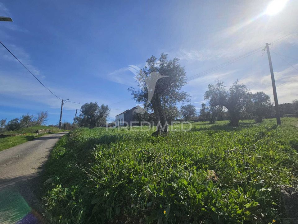 Byhus i Ferreira do Zezere, Santarem - foto 4