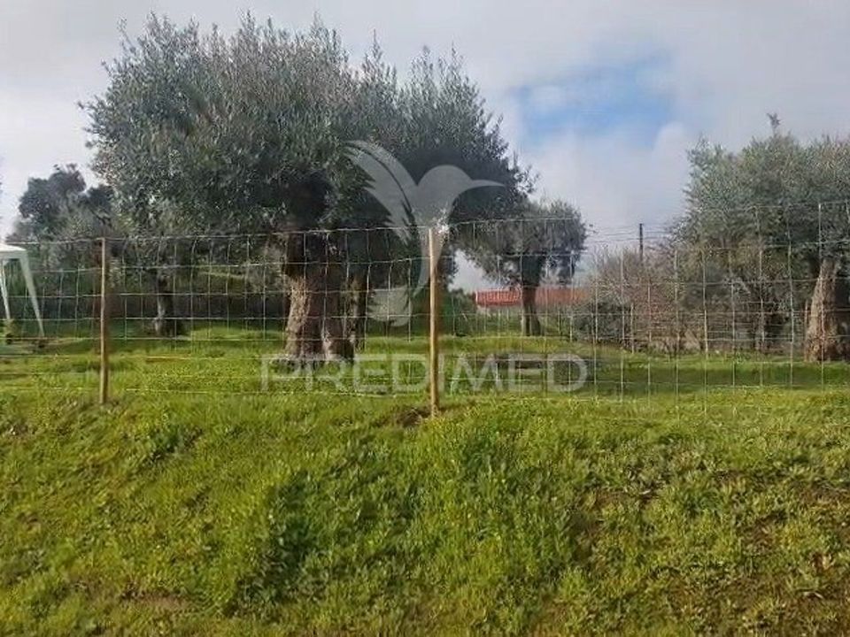 Helårsgrund i Vila Nova da Barquinha, Santarem - foto 4