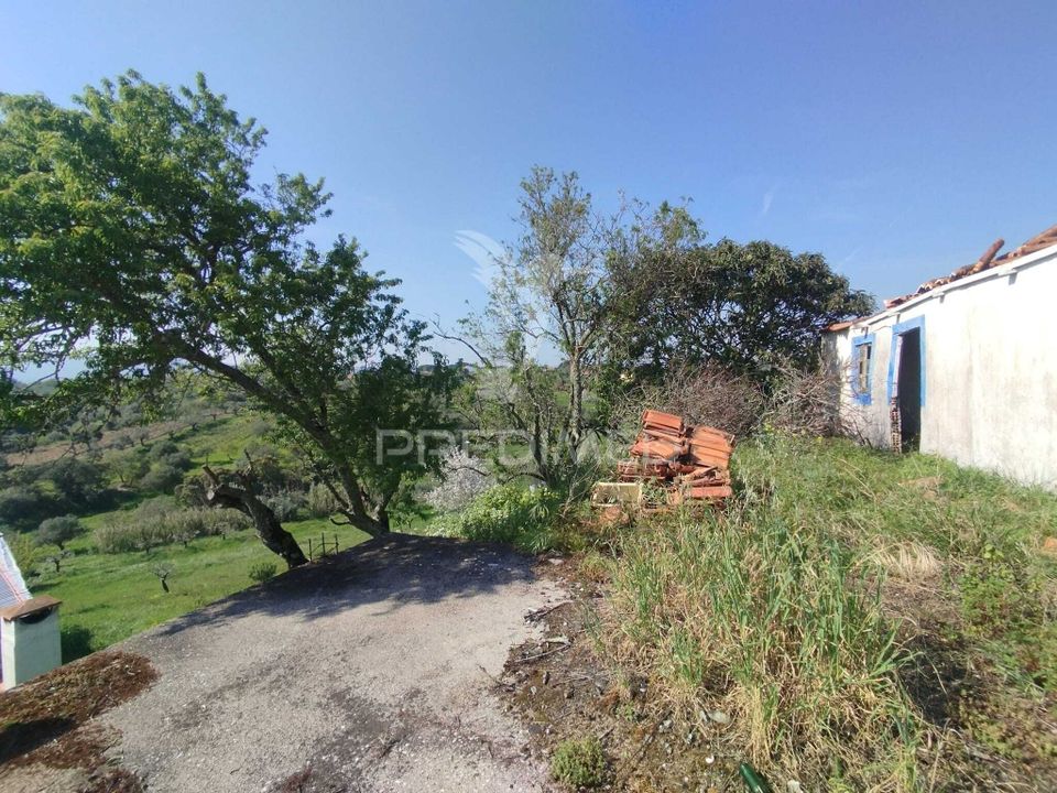 Helårsgrund i Torres Novas, Santarem - foto 2