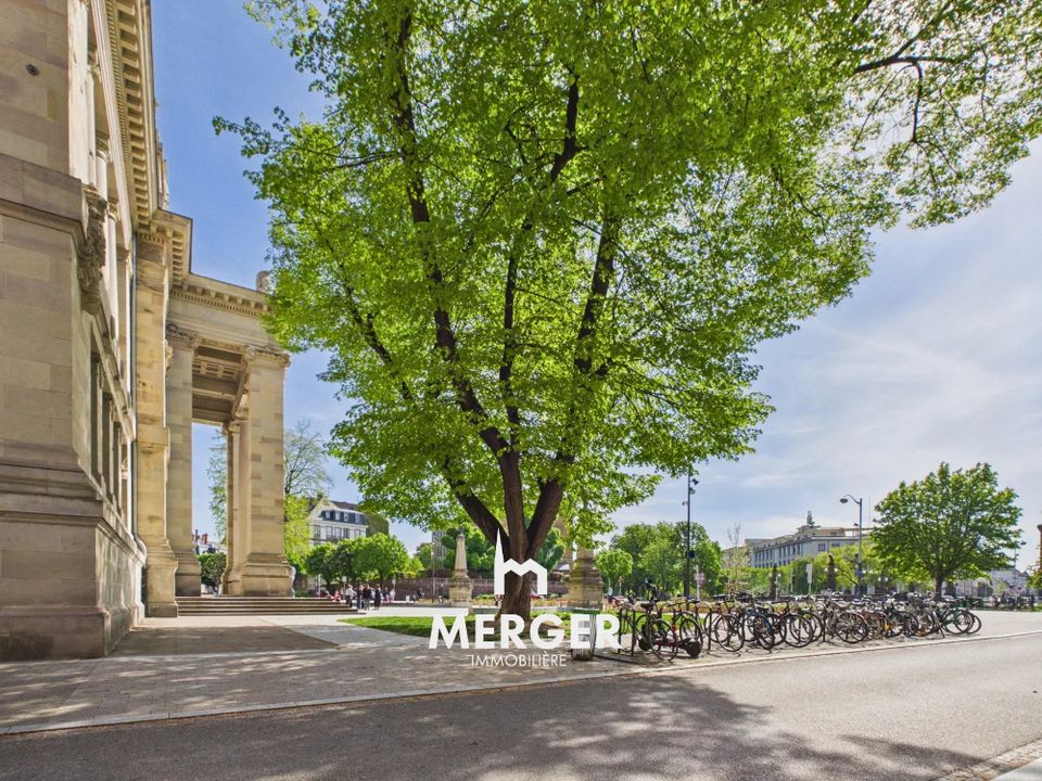 Lejlighed i Strasbourg, Bas-Rhin - foto 1