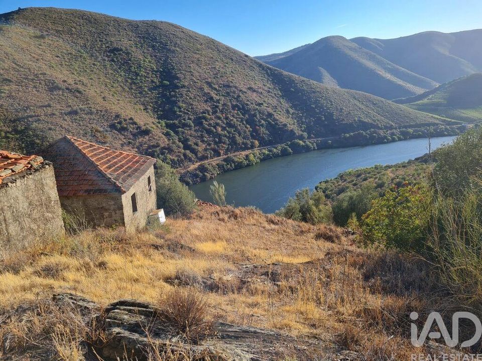 Helårsgrund i Torre de Moncorvo, Braganca - foto 1