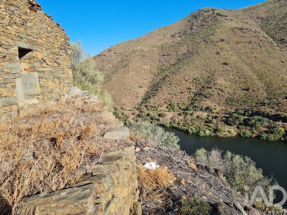 Helårsgrund i Torre de Moncorvo, Braganca - foto 3