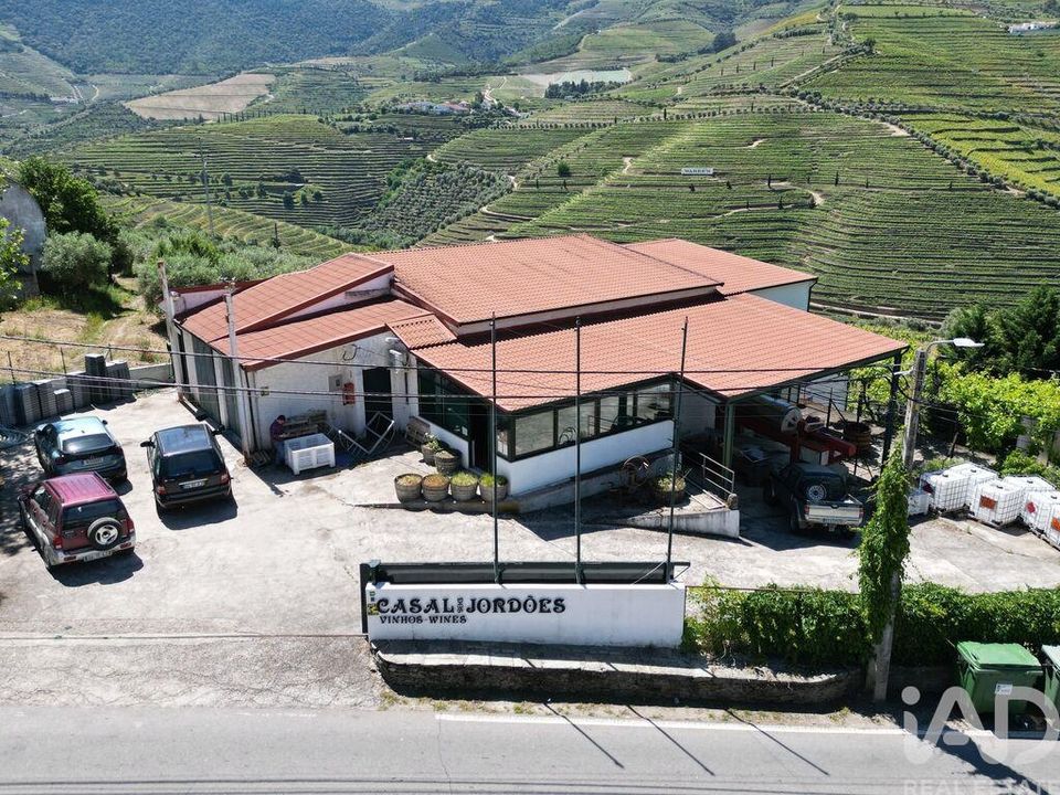 Erhvervsejendom i Sao Joao da Pesqueira, Viseu - foto 2