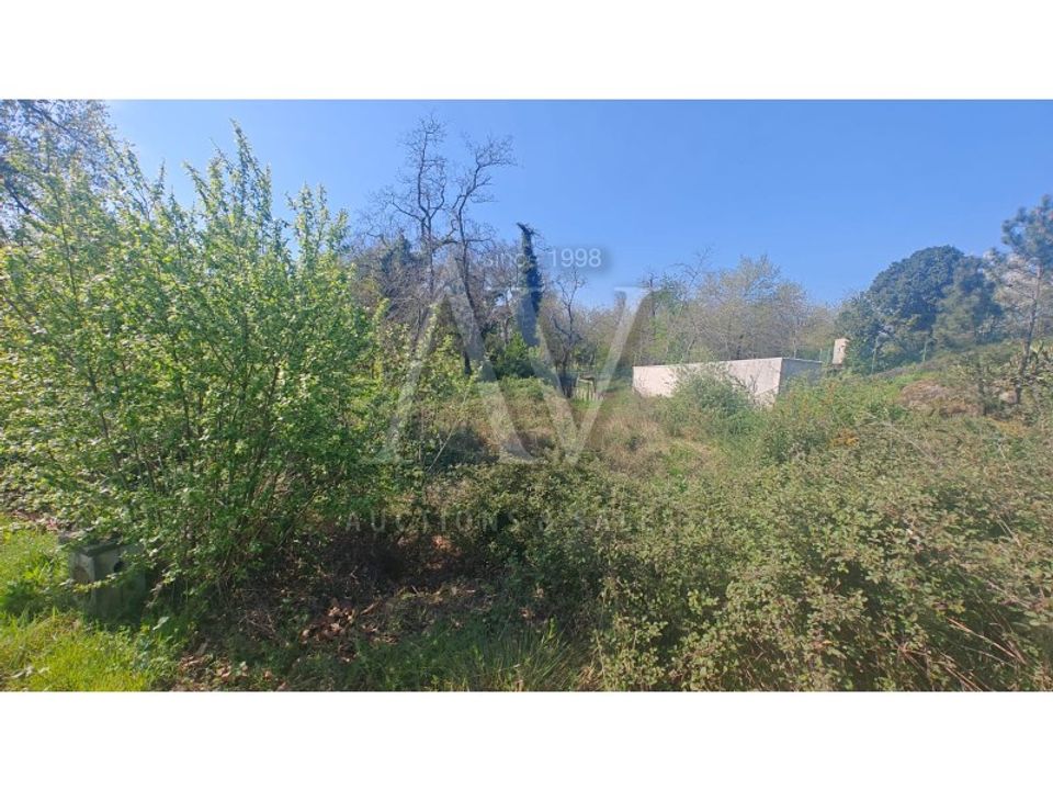 Helårsgrund i Viseu, Viseu - foto 3