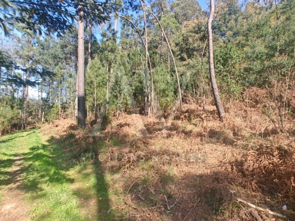 Helårsgrund i Satao, Viseu - foto 1