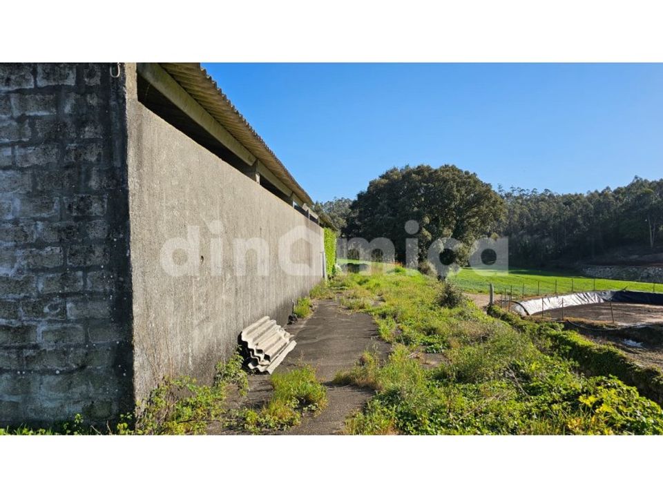 Erhvervsejendom i Vila do Conde, Porto - foto 2