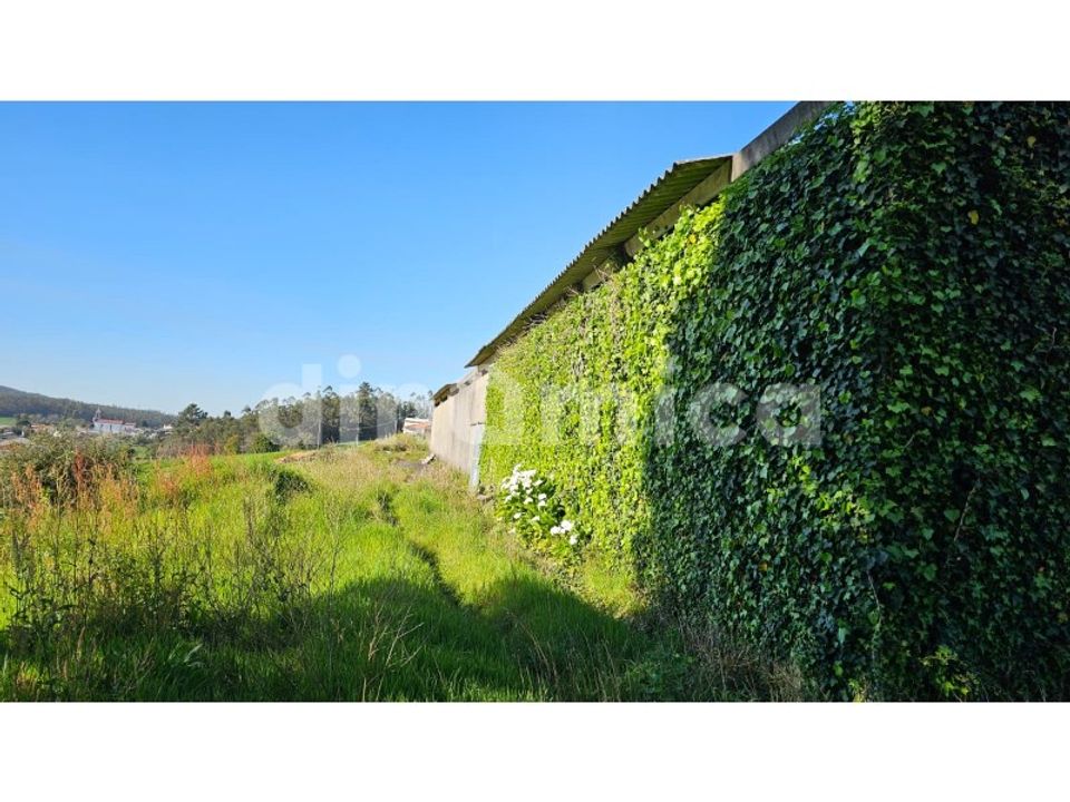 Erhvervsejendom i Vila do Conde, Porto - foto 5