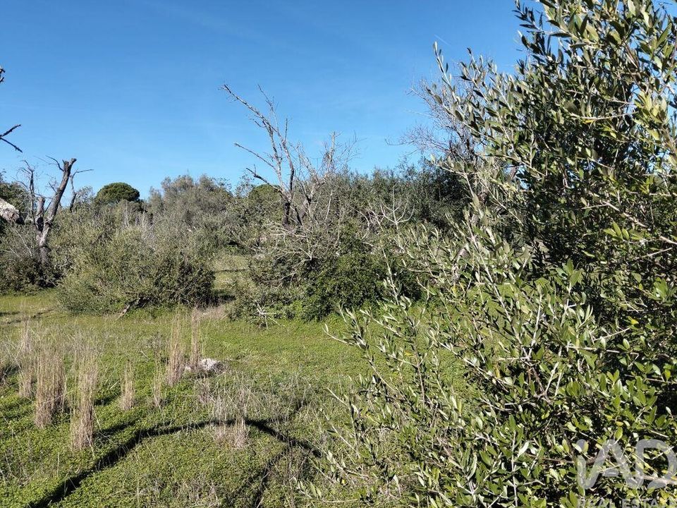 Helårsgrund i Sao Bras de Alportel, Faro - foto 2
