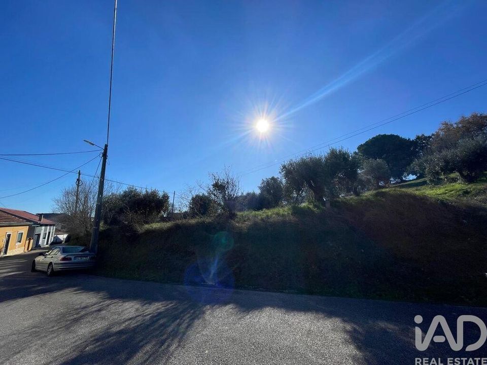 Terra em Tomar, Santarem - foto 4