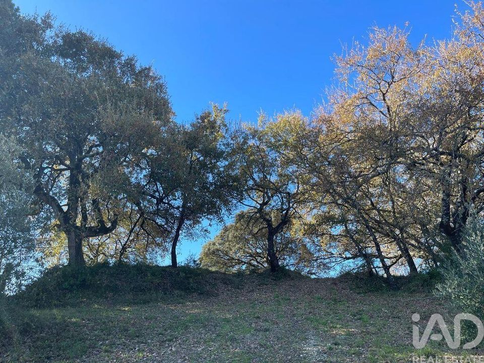 Terra em Tomar, Santarem - foto 2