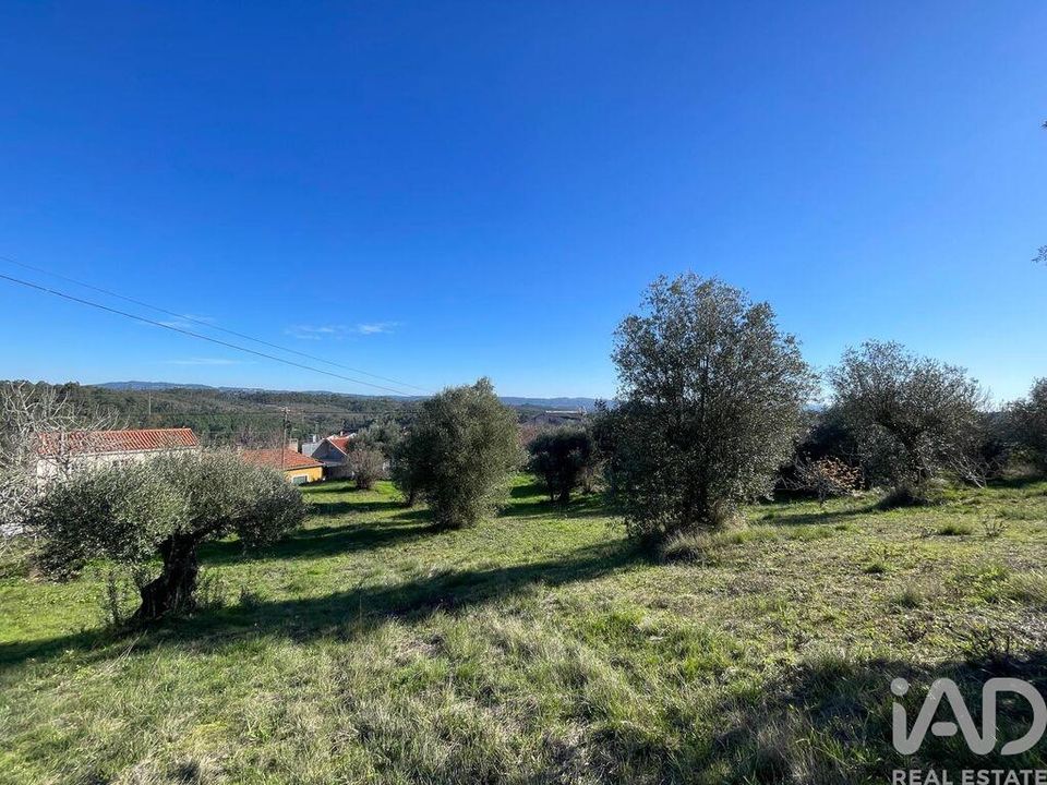 Terra em Tomar, Santarem - foto 1