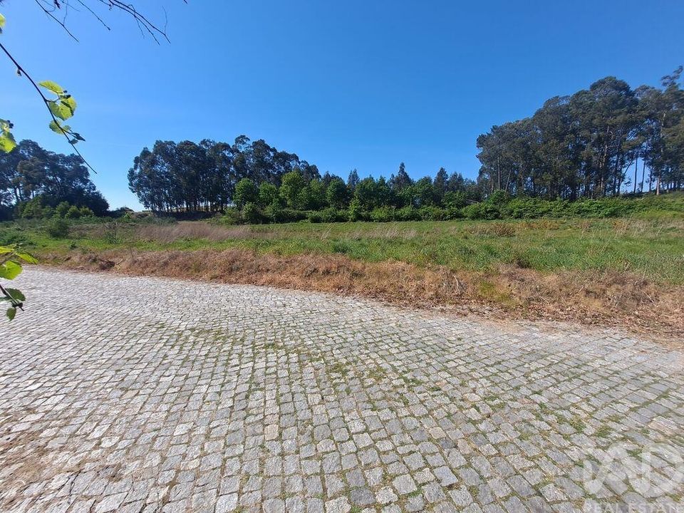 Helårsgrund i Penafiel, Porto - foto 5