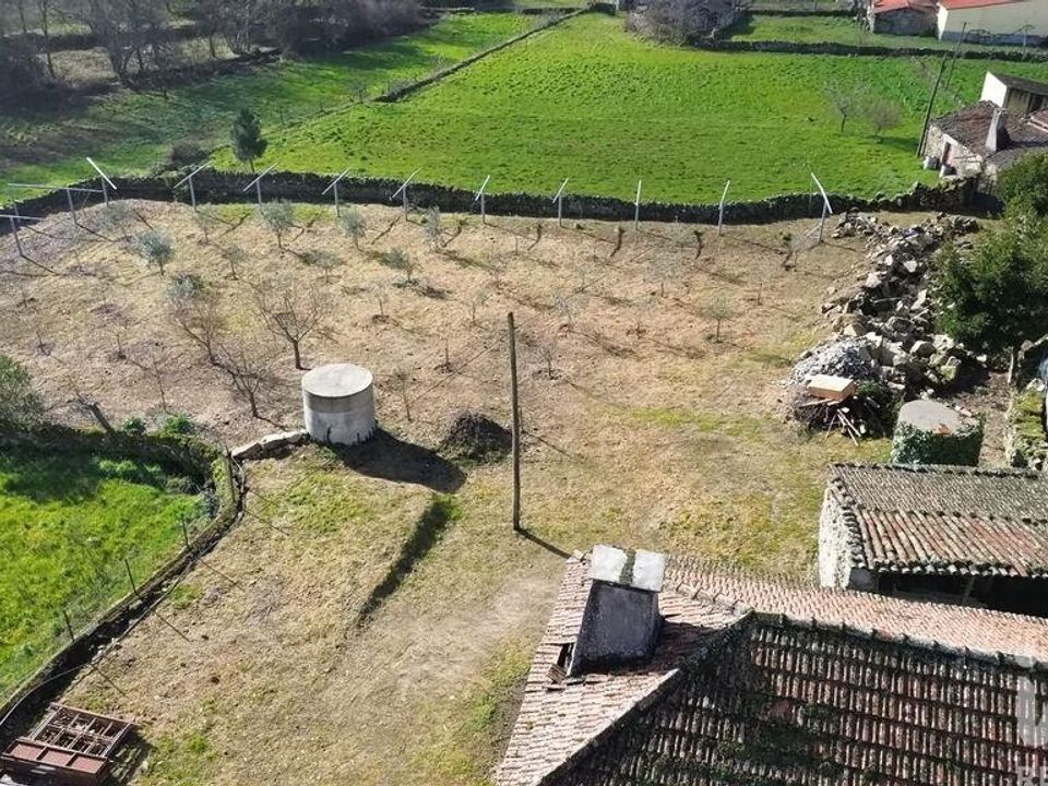 Byhus i Alijo, Vila Real - foto 3