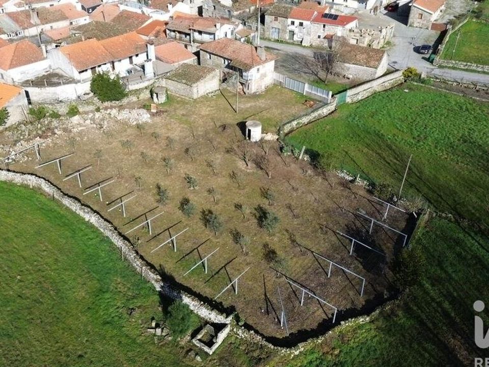 Byhus i Alijo, Vila Real - foto 4