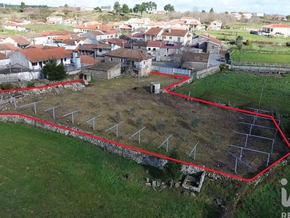 Byhus i Alijo, Vila Real - foto 5