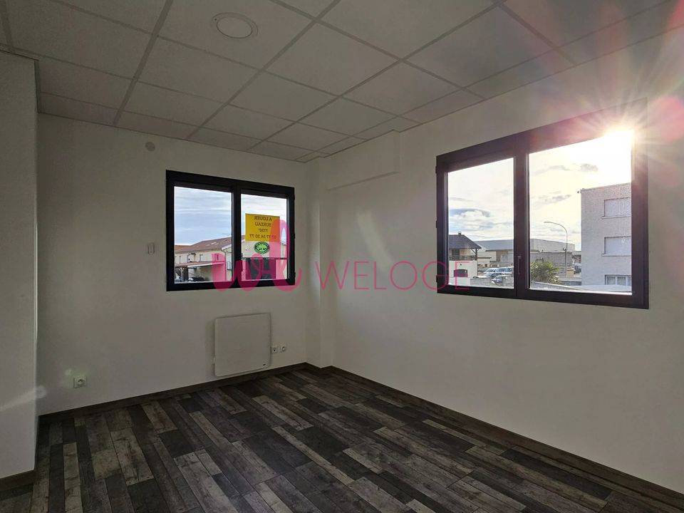 Commercial property in Heyrieux, Isere - photo 5