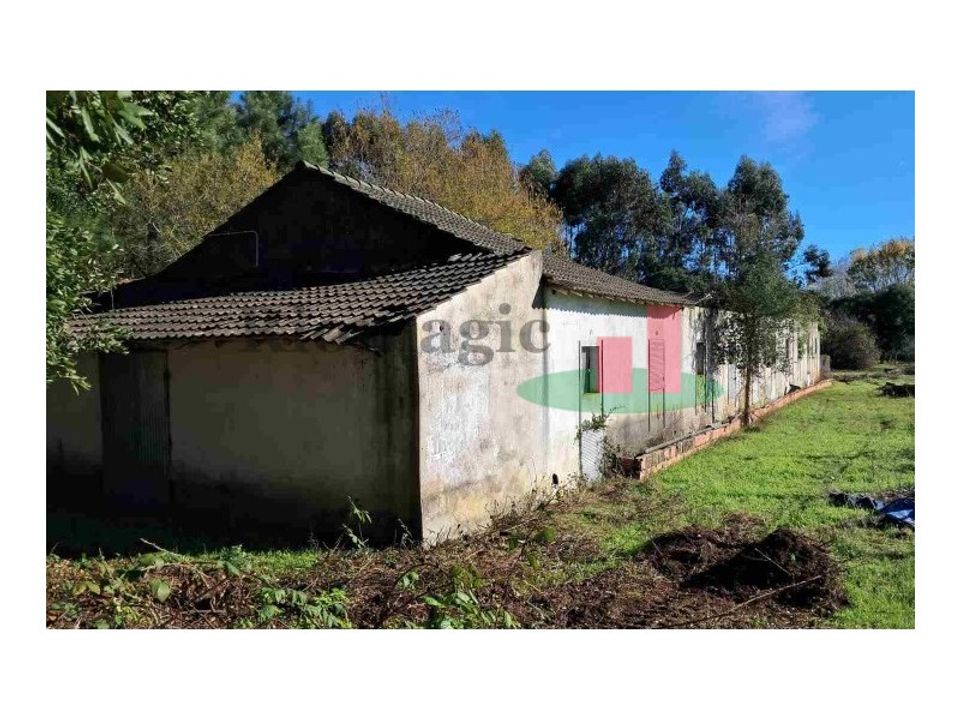 Tomt i Asseiceira, Santarem - bilde 4