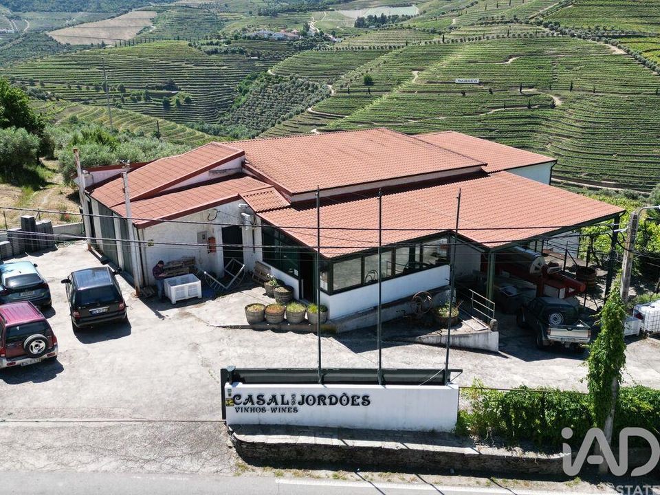 Farm i Sao Joao da Pesqueira, Viseu - foto 1